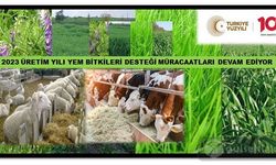 2023 Yılı Yem Bitkileri Desteği Müracaatları Devam Ediyor: Son Başvuru Tarihi 29 Aralık 2023