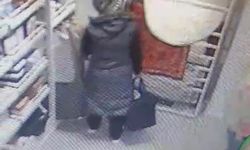 Alışveriş Merkezindeki Hırsızlık Kadın, Alarmlarla Yakalandı