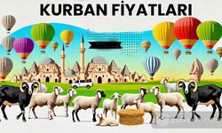 Nevşehir Büyükbaş ve Küçükbaş Fiyatlarında Son Durum