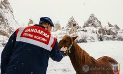 Kapadokya'nın Büyülü Atmosferinde Güvenli Seyahatler