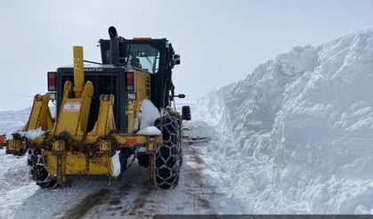 Ardahan'da kar nedeniyle kapanan yollar ulaşıma açıldı