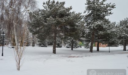 Erzurum ve Kars'ta kar yağışı devam ediyor