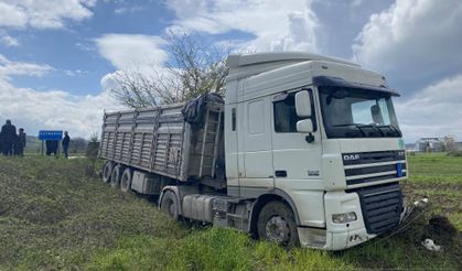 Sakarya'da tır sürücüsü köpeğe çarpmamak için kaza yaptı