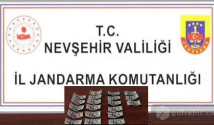 Nevşehir'de iki zanlı sahte dolarla yakalandı