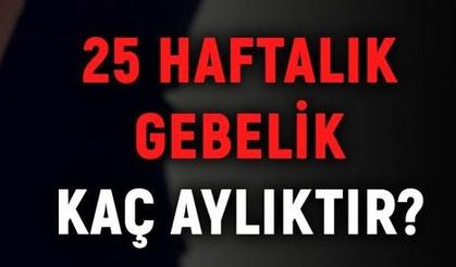 25 haftalık gebelik kaç aylık oluyor? Hamilelikte doğru bilinen yanlışlar!