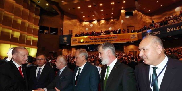 Politika