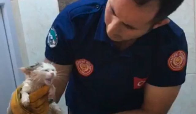 Kayseri itfaiyesi boruya sıkışan minik kediyi kurtardı