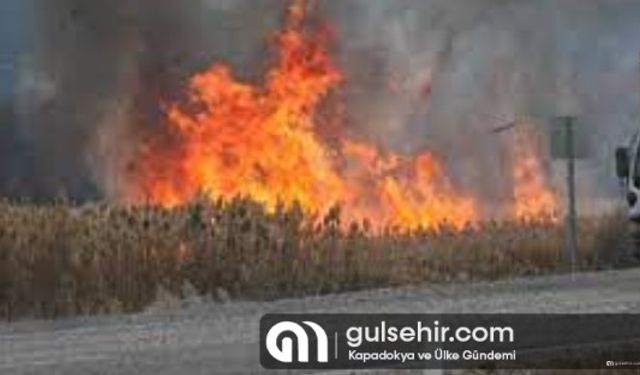 Beyşehir Gölü kıyısında sazlık alanda çıkan yangına müdahale ediliyor