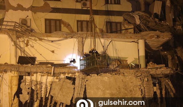 Diyarbakır'da binadan çıkarılan 2 kedi sahiplerine ulaştı