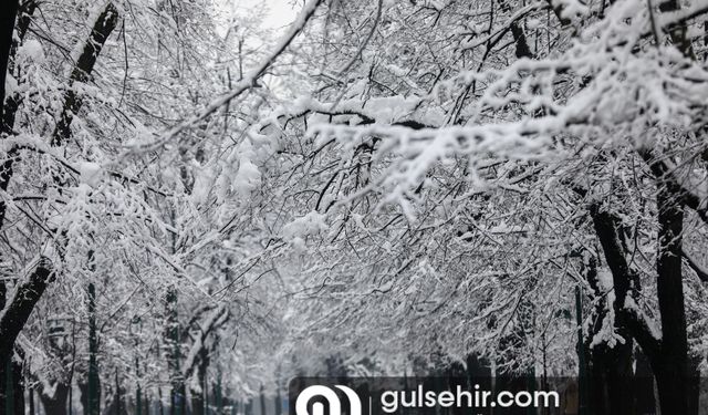 Saraybosna'da yoğun kar yağışı güzel görüntüler oluşturdu