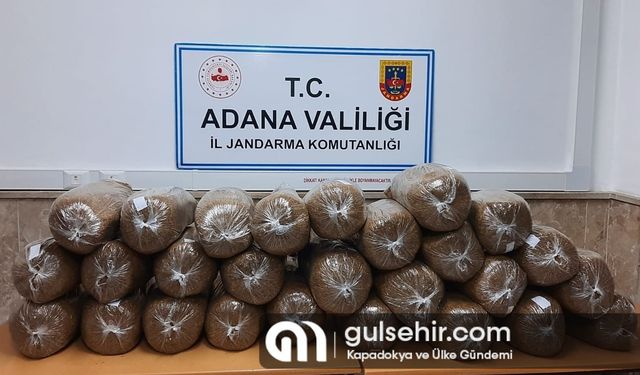 Adana'da 900 kilogram kaçak tütün bulundu