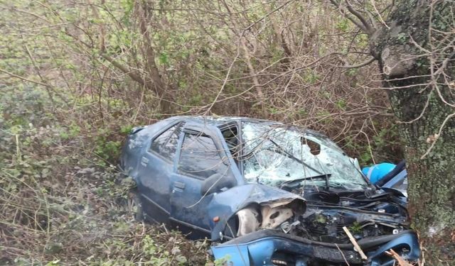 Balıkesir'de otomobil ağaca çarptı, 2 kişi öldü