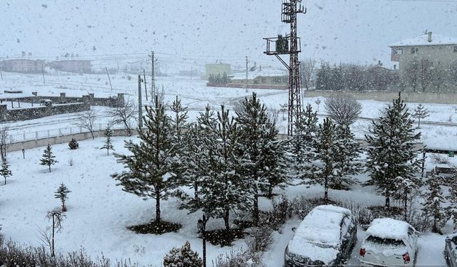 Sivas'ta da kar yağışı etkisini arttırdı