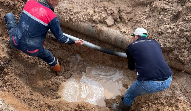 İl Özel İdaresi tüm Nevşehir'de arı gibi çalışıyor