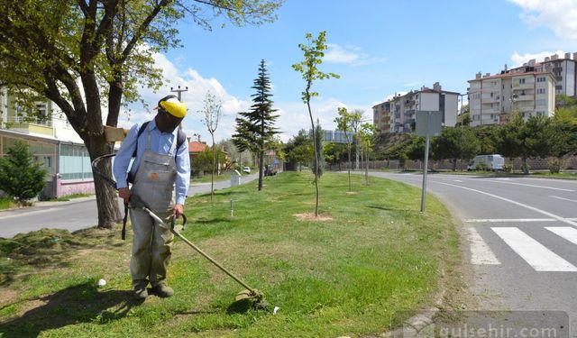 Gülşehir Belediyesinin temizlik çalışmaları devam ediyor