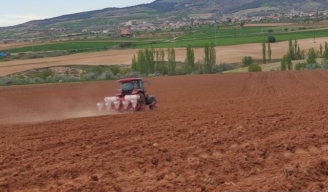 İlhan Kaya toprakla ilgilenmeye başladı