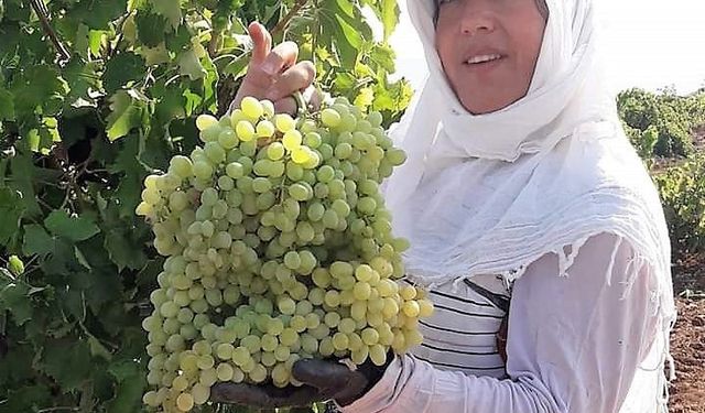 Karaciğer nakli yapılmıştı: O kadın evinde ölü bulundu