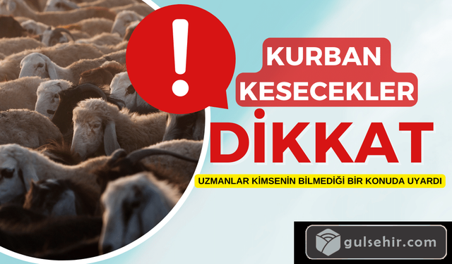 Kurban keseceklere kist uyarısı! Bunu kimse bilmiyor