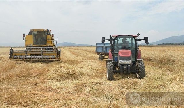 Kahramanmaraş'ta arpa ve buğday hasat yapılmaya başlandı