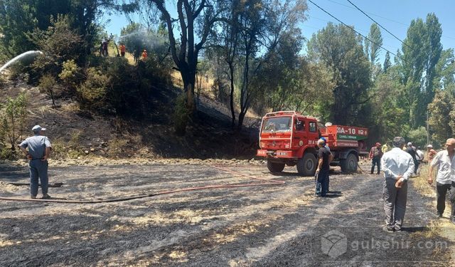 Yangın panik yarattı: Ormana sıçramaması için...