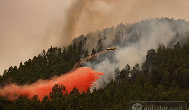 İspanyada  Çıkan Yangında Hektarlarca Alan Küle Döndü