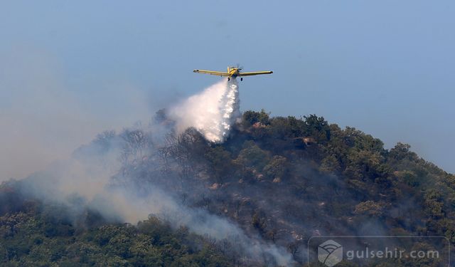 Türkiye Yunanistan Sınırı Dedeağaçta Orman Yangını
