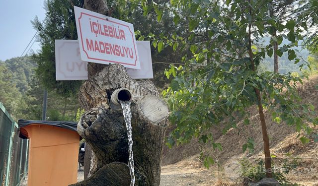 Bu Çeşmeden Su Yerine "Maden Suyu" Akıyor