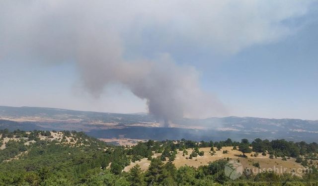 Yerleşim Yerine Tehdit Oluşturan Yangına Helikopterli Müdahale