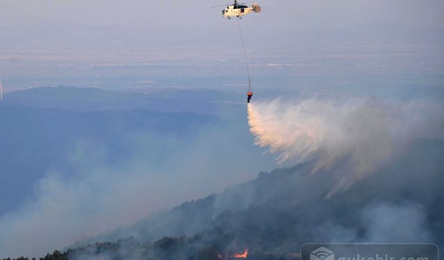 AB Kayıtlarındaki En Büyük Yangın: 81 Bin Hektar Küle Döndü