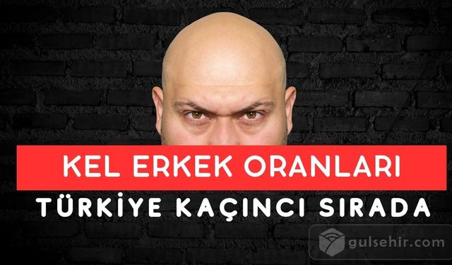 Kel erkek oranları açıklandı! Türkiye kaçıncı sırada?