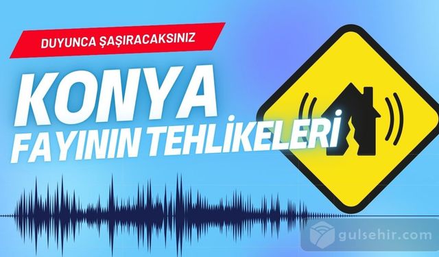 Konya Fayı'nın Tehlikeleri: Uzmanların Uyarılarıyla Şaşıracaksınız! 