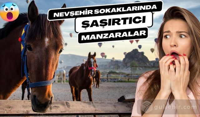 Nevşehir sokaklarında dolaşırken karşılaşacağınız şaşırtıcı manzara