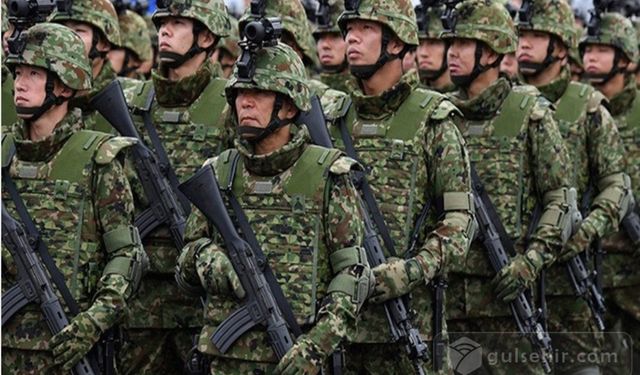 Japonya Ordusunda Taciz Vakaları Örtbas mı Edildi?