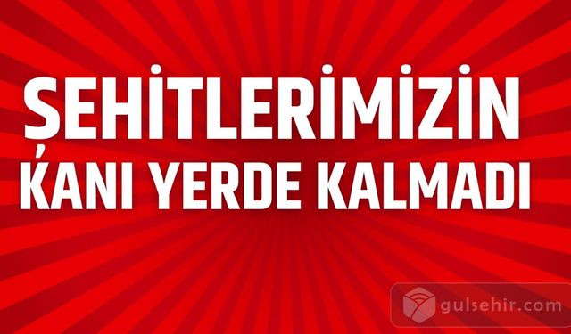 Şehitlerimizin kanını yerde bırakmadık, bırakmayacağız!