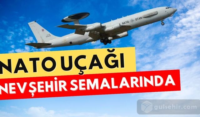 Uçağın istihbarat, gözlem ve erken uyarı sistemleri için kullanıldığı biliniyor