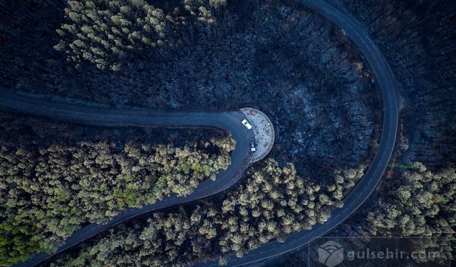 İspanyadaki  Orman Yangının Yol Açtığı Ekonomik Kayıp 80.4 Milyon Euro