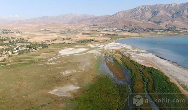 Van Gölünde Alarm Sulak Alanlar Yok Oluyor