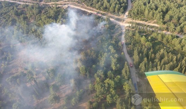 İzmir Gaziemir de Orman Yangın Çıktı Müdahale Sürüyor