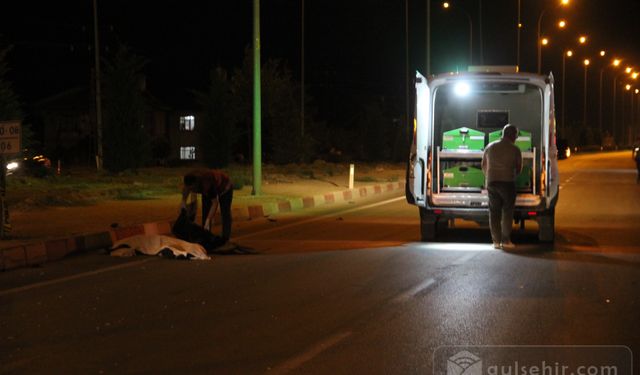 Karaman'da:''Yaşlı Çift Düğüne Giderken Öldüler!''