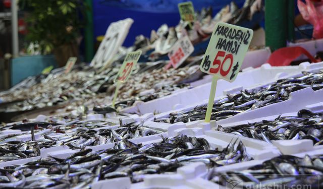 Bu Sezon Palamut Az Çıkınca:''Tezgahlarda Hamsi Bolluğu Yaşanıyor''