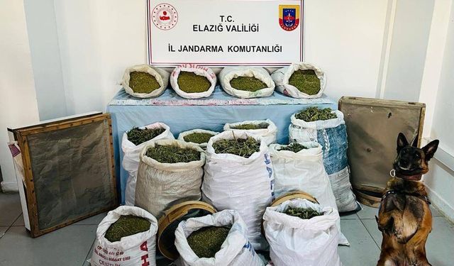 Elazığ’da 241 kilo Esrar Ele Geçirildi: ''2 Tutuklama''