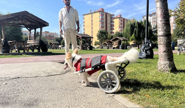 ''İnançsız Biriyken Köpeği Felç Kaldıktan Sonra Müslüman Oldu''