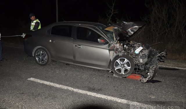 Tekirdağ'da Otomobil Domuz Sürüsüne Çarptı: ''1'i Ağır 2  Yaralı''