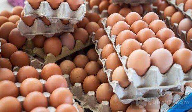 Yumurtaya dev zam: 30'lu yumurta fiyatına tavuklar bişe şaşacak