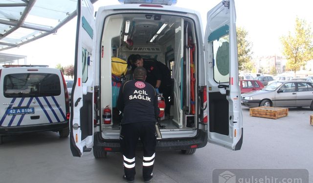 'Ceviz Toplarken Hayatını Kaybetti'