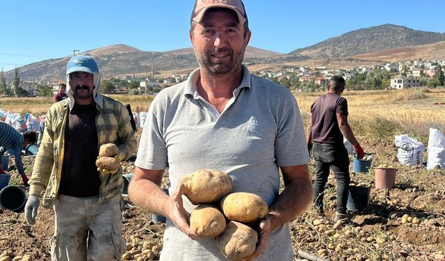 ''Nevşehir'de  Bu Yılda Patates Hasadı Zamanı Başladı''