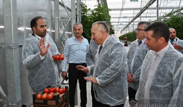 Topraksız sera projesiyle yetiştirilen bitkilerin ilk hasadı gerçekleştirildi