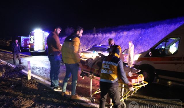 Ters Şeride Giren Araç 8 Kişiyi Yaraladı