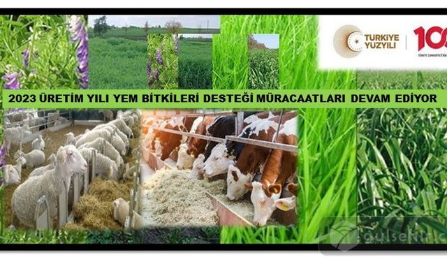 2023 Yılı Yem Bitkileri Desteği Müracaatları Devam Ediyor: Son Başvuru Tarihi 29 Aralık 2023