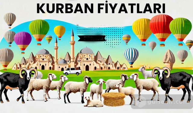 Nevşehir Büyükbaş ve Küçükbaş Fiyatlarında Son Durum